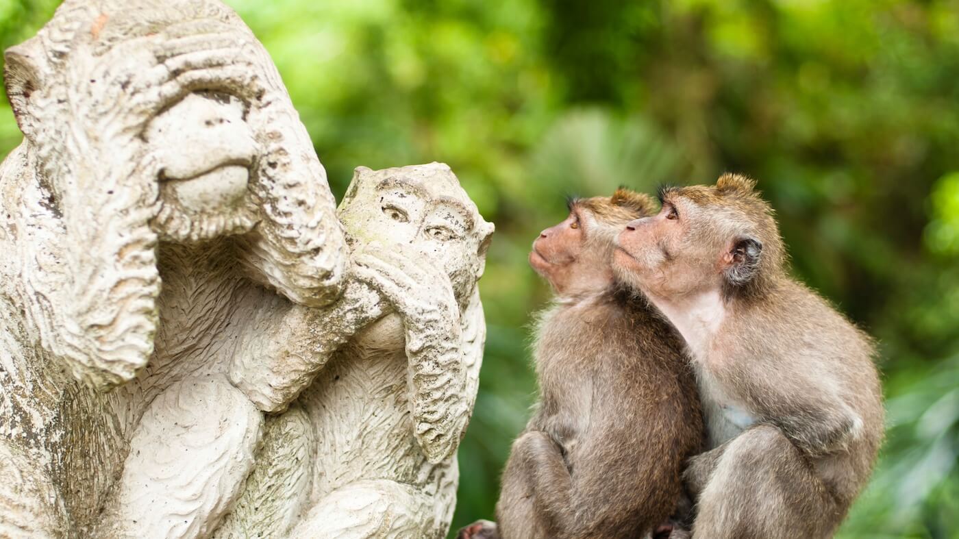 Monkeys and monkey statues Bali
