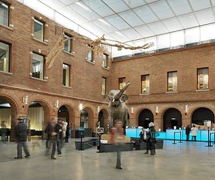 MUSEO DE HISTORIA NATURAL Y JARDÍN BOTÁNICO